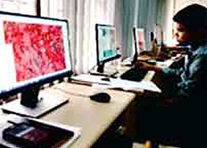 amazing caves coverimage